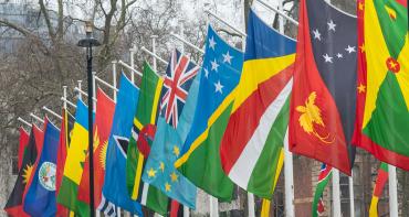Flags on Parliament Square