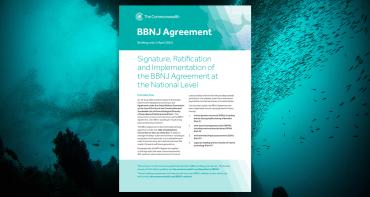 Cover image of the first BBNJ Agreement briefing note