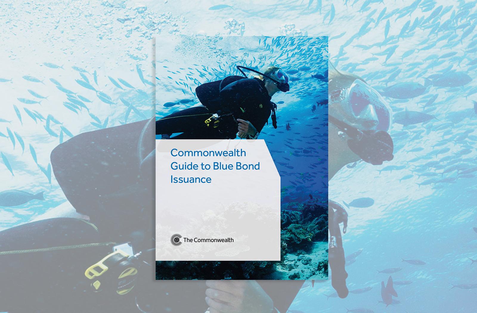 Cover image of Blue Bonds toolkit