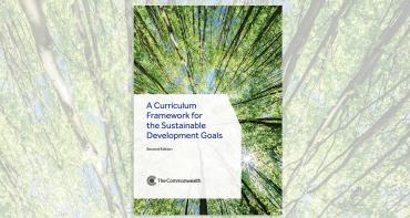 Cover image of Curriculum Framework