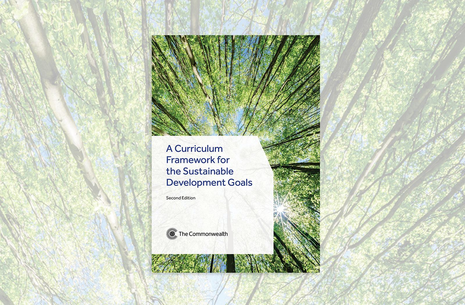 Cover image of Curriculum Framework