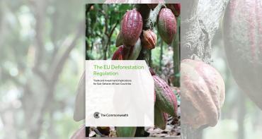 Cover image of EU Deforestation Regulation