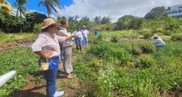 Rodrigues Island food industry workers in field