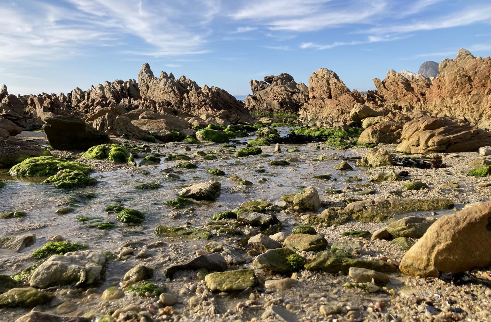 Rocks, water, Western Cape, South Africa