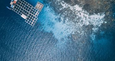 Digital fisheries study