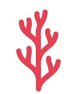 coral reef icon