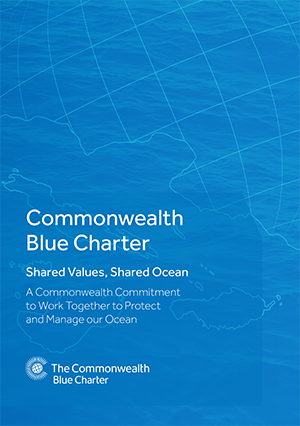 commonwealth blue charter